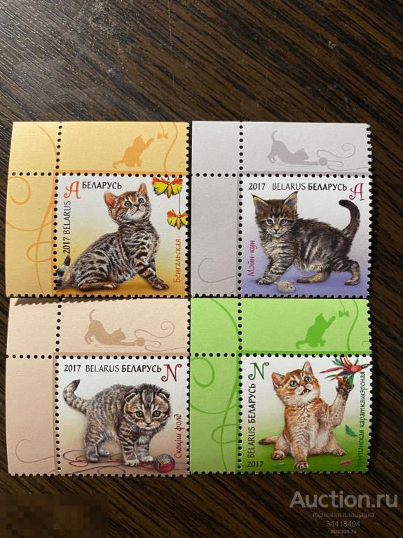 Беларусь 2017 Детская филателия котята 