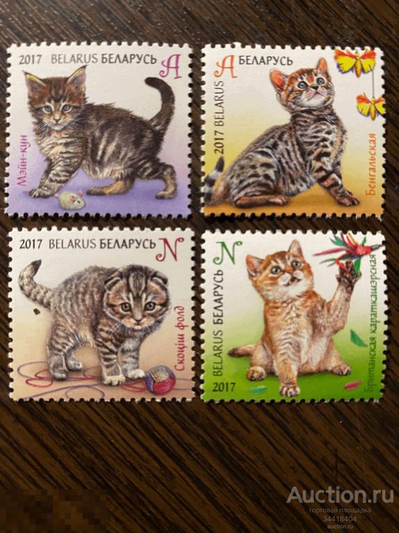 Беларусь 2017 Детская филателия фауна котята 