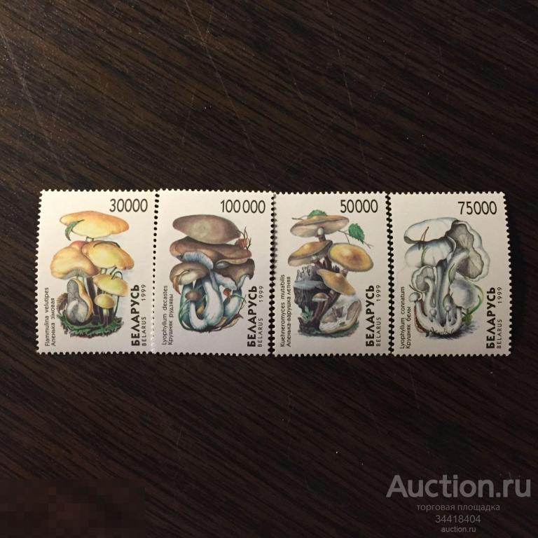 Беларусь 1999 флора грибы 