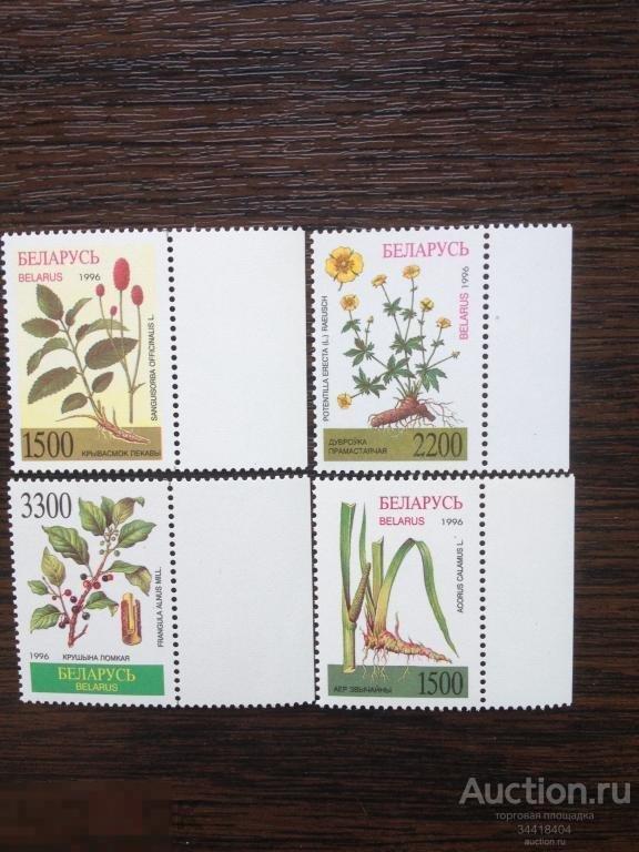 Беларусь 1996 флора лекарственные растения 