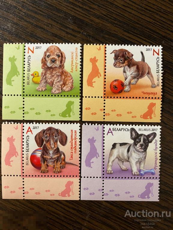 Беларусь 2017 Детская филателия фауна щенята 