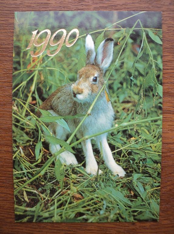 158/ Животный мир_Заяц_1990
