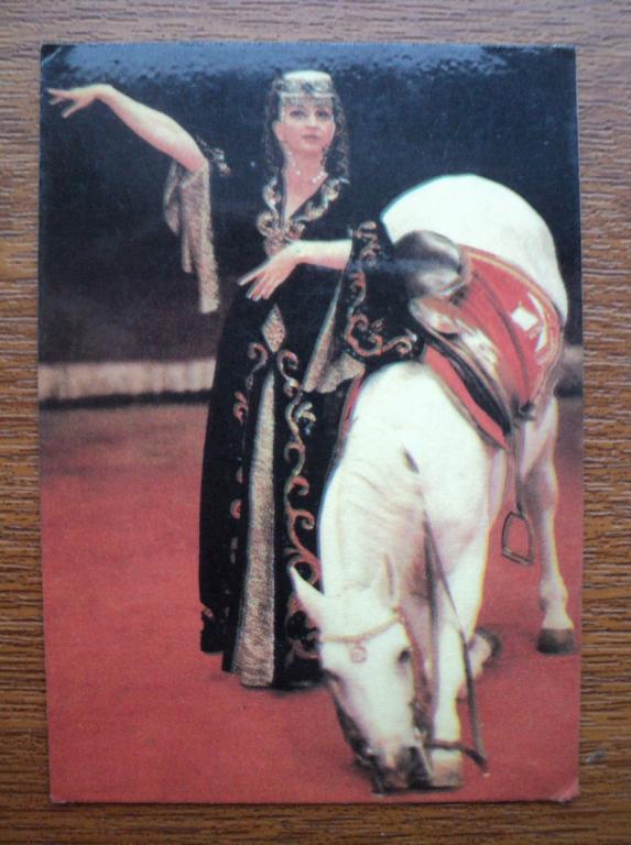Ц19/ Цирк_Каджана Кантемирова_Лошади_1982