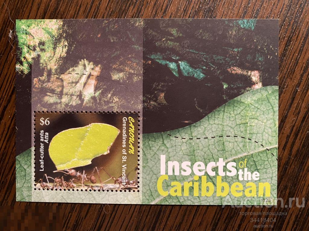 Сент-Винсент и Гренадины фауна насекомые муравей 
