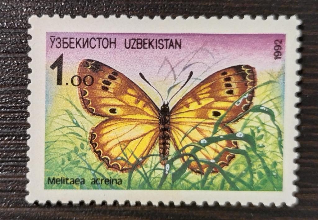 Почтовая марка Узбекистан  1992 Фауна Бабочка** 