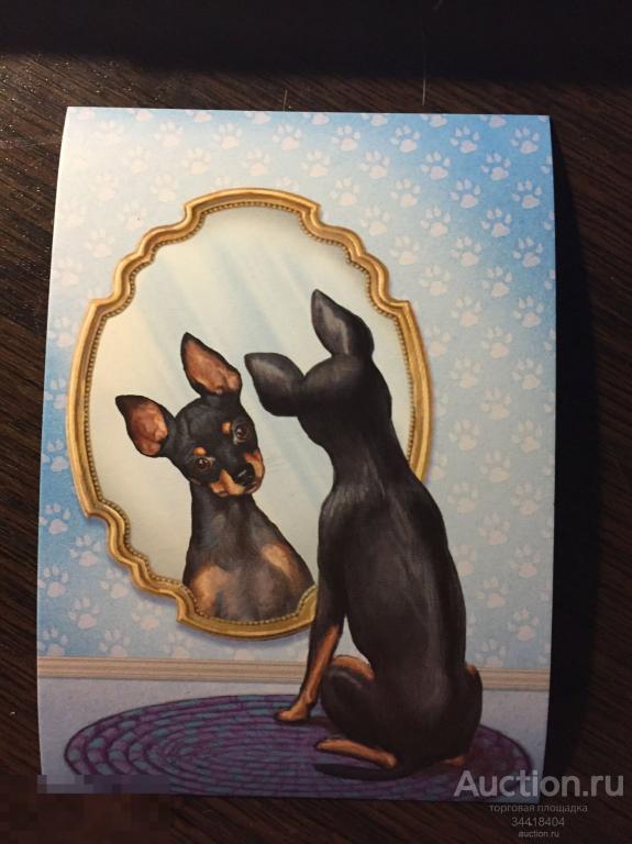 Россия 2019 НПК Русский той Декоративные собаки 