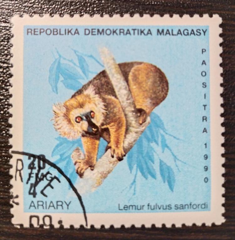 Почтовая марка Мадагаскар 1990 Фауна Лемуры 