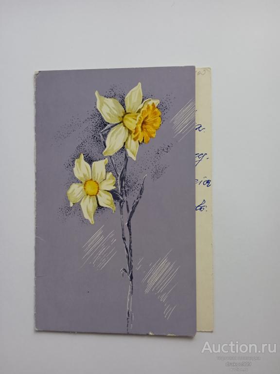 Открытка. Поздравляю! Двойная. Цветы. Нарциссы.