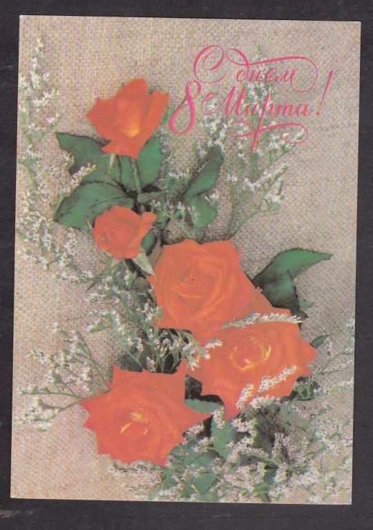 1989 С 8 марта Розы фото Артемова (78)