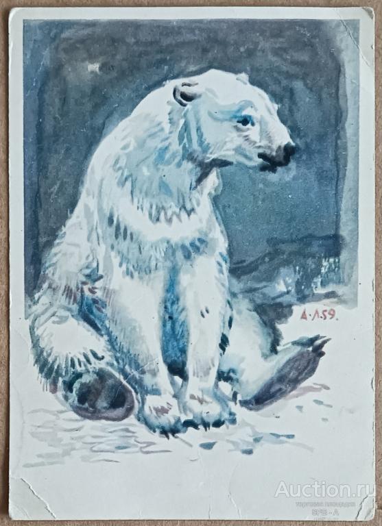"Малыши"Белый медведь" Лаптев А.М. 1958-1959 год