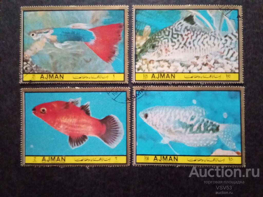 Аджман. Аквариумные рыбки.