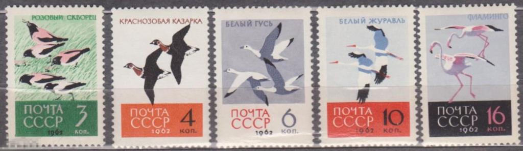 1962 г. СССР. Ст-колл №2703-2707. ЧБН.  Птицы. Полная серия. 