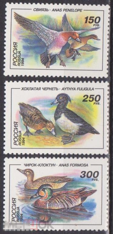 1994 г. Россия. Ст- колл. №170-172 ЧБН. Утки. Полная серия. 