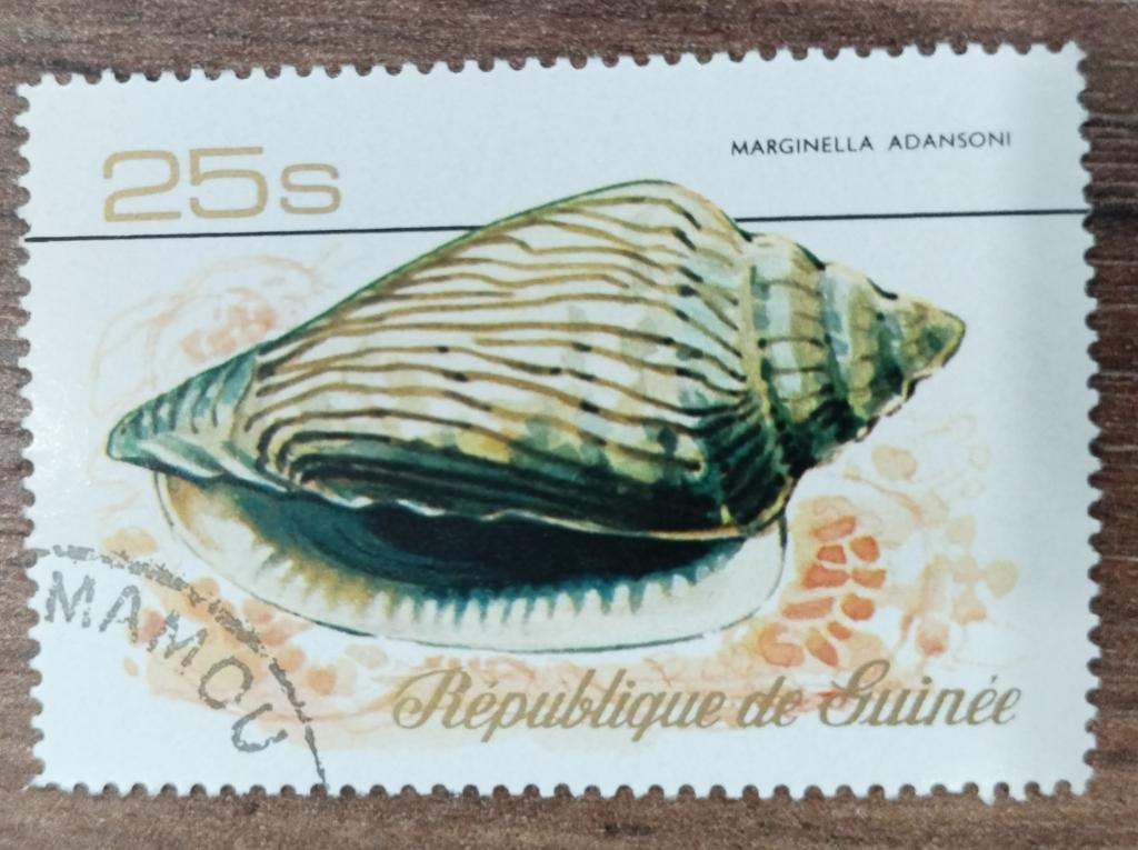 Почтовая марка Гвинея  1977 Фауна Ракушки 