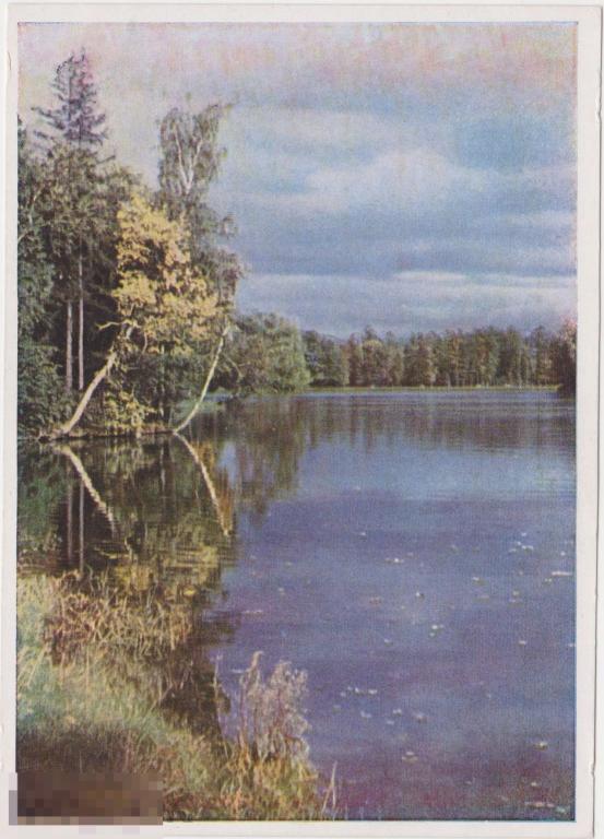 1949 г. Открытка. г. Пушкин. Пруд в Екатерининском парке.