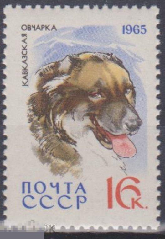 1965 г. СССР. Ст-колл №3082  ЧБН.  Служебные и охотничьи собаки. 