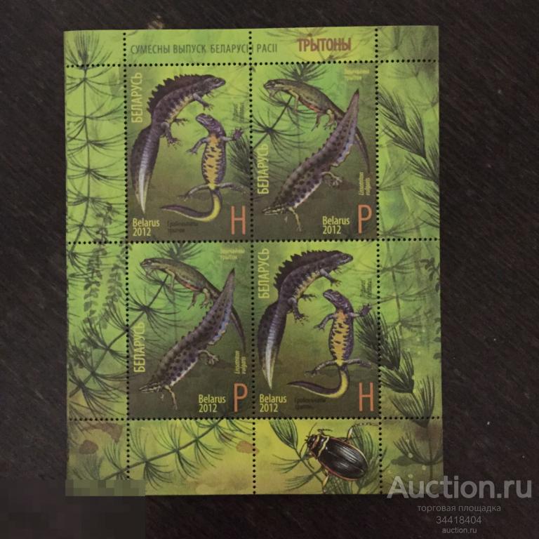 Беларусь 2012  СВ  Россия  фауна тритоны блок 