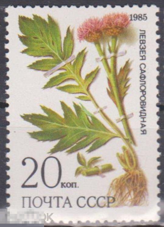 1985 г. СССР. Ст-колл №5583. ЧБН. Лекарственные растения Сибири. 