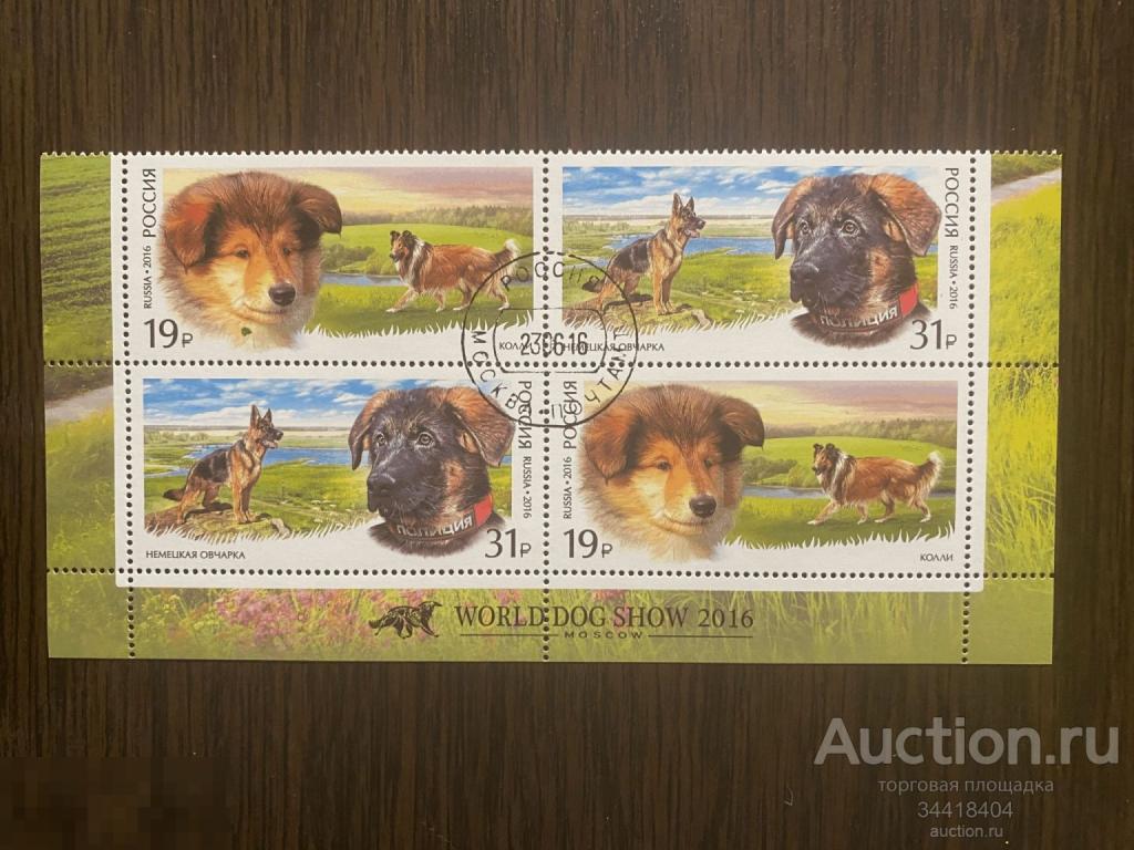 Россия 2016 фауна Служебные породы собак гаш 2101-2102 