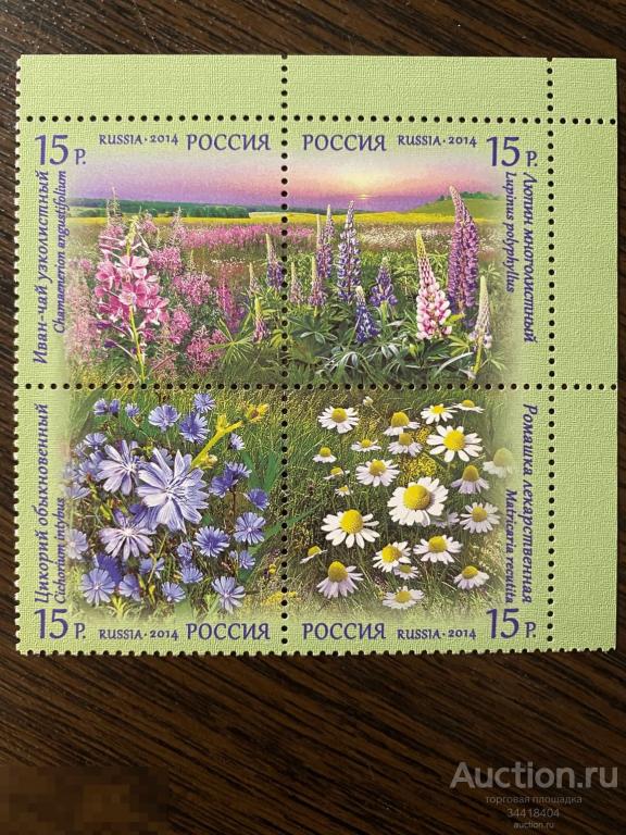 Россия 2014 флора Полевые цветы сцепка 1810-1813