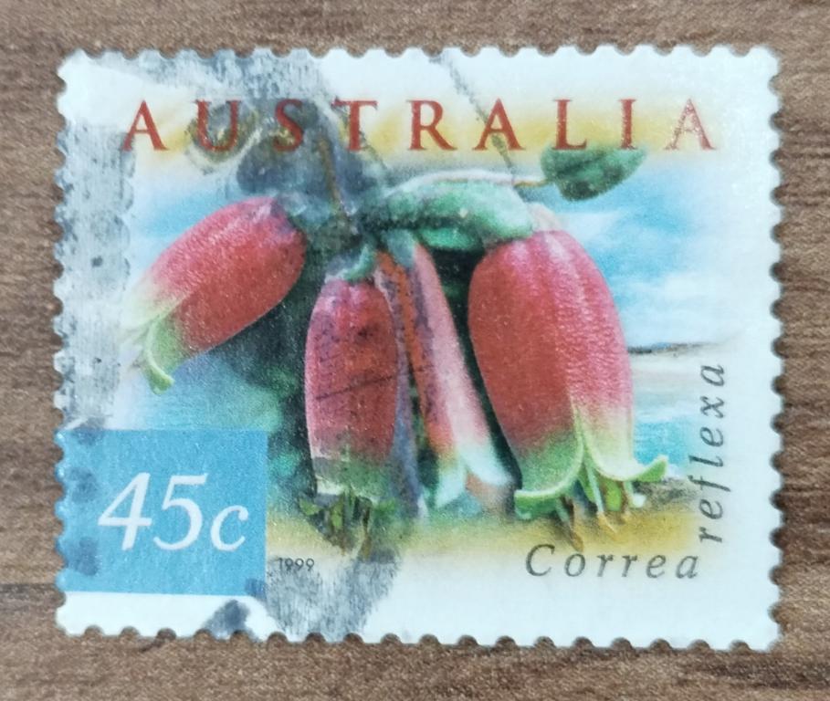 Почтовая марка Австралия 1999 Флора Цветы 