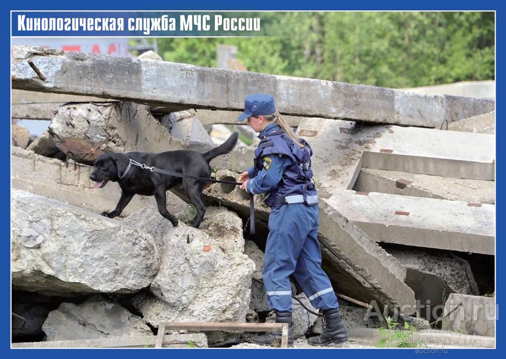 Россия-2023, № 161/4. Кинологическая служба МЧС России. Карточка, ХНК.