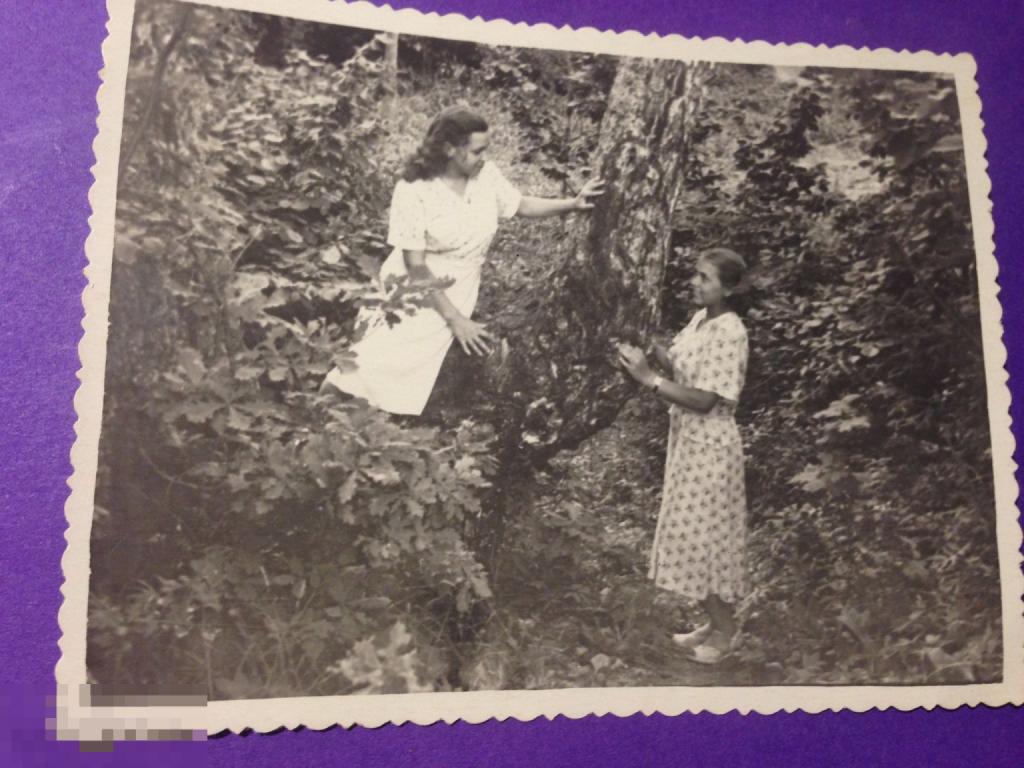 фк27г 1953 Девушки возле дерева Дом отдыха Гознак  ххх 