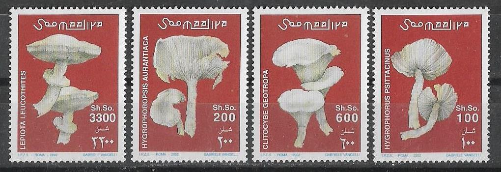 Сомали 2002 г.  Грибы Флора **