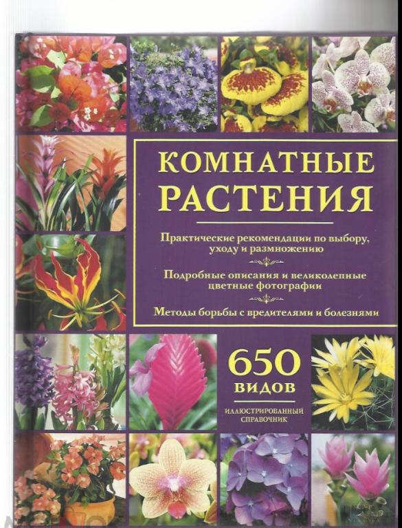 Комнатные растения. Выбор, уход, размножение. 650 видов. Иллюстрированный справочник.