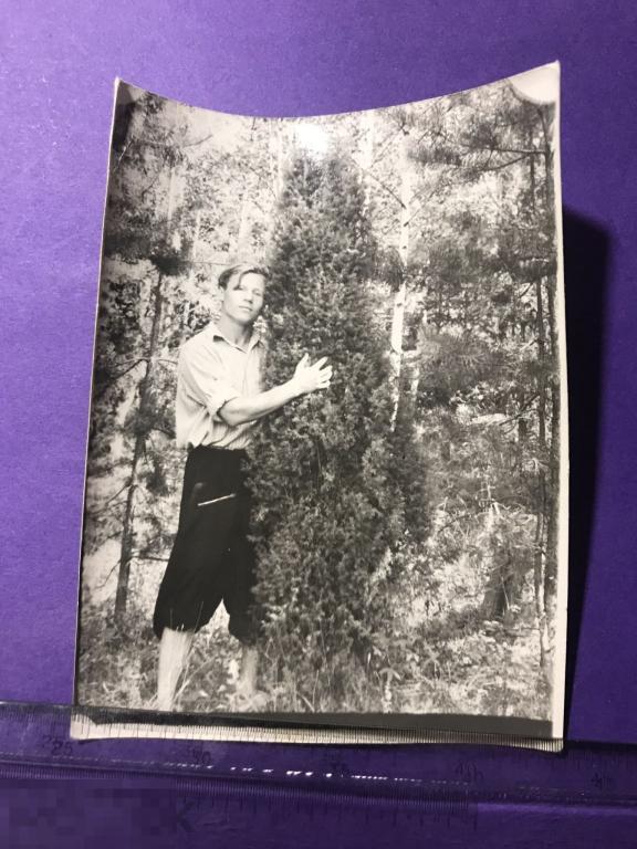 аф11-33г Юноша  стоит возле можжевельника ъ 