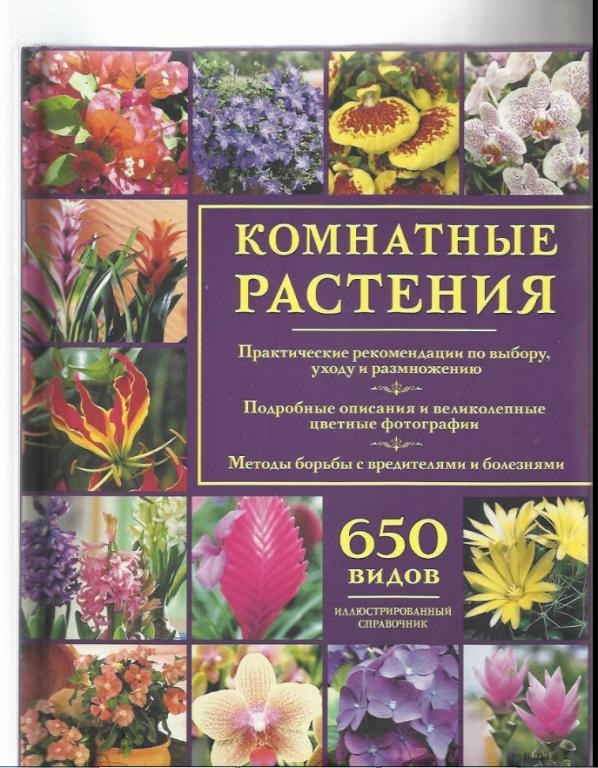 Комнатные растения. Выбор, уход, размножение. 650 видов. Иллюстрированный справочник.