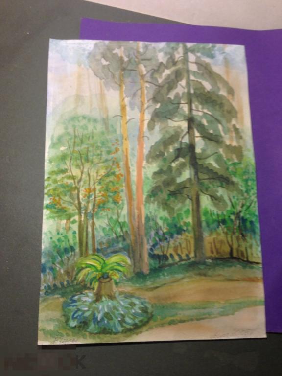 ПР1-25*с 2005  август  Рисунок  Пейзаж деревья природа  акварель ххх 