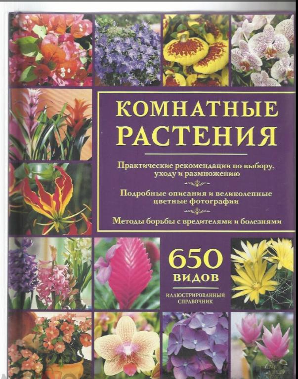 Комнатные растения. Выбор, уход, размножение. 650 видов. Иллюстрированный справочник.