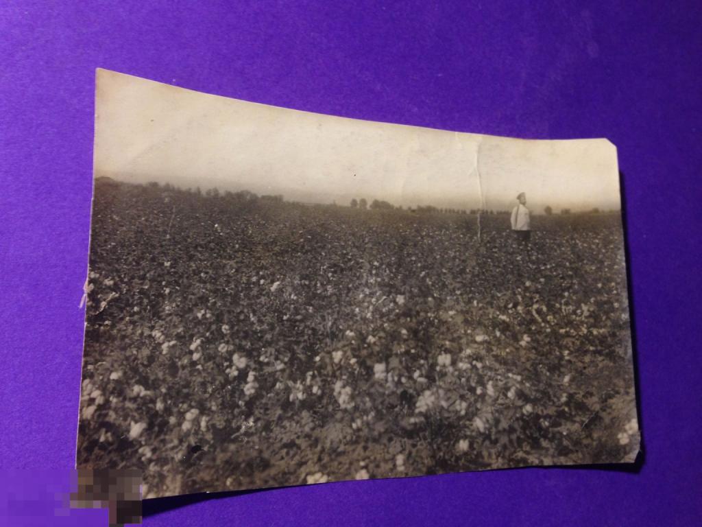 аф7-43г Хлопковое поле Хлопок  Служивый   с ружьем  ххх 