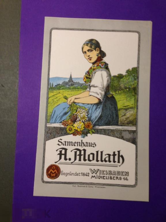 ПВл1-12  Рекламный буклет Samenhaus A. Mollath Wiesbaden Michelsberg 14  Германия ххх 