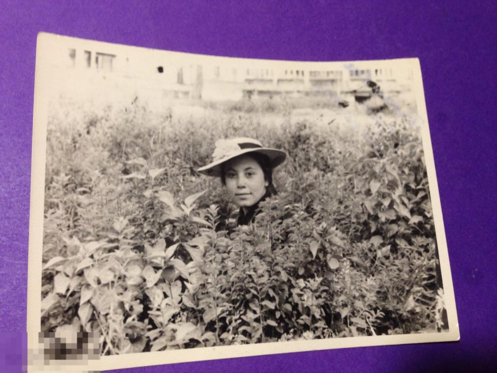 кр3а7г  1950 Девушка в шляпке вреди зарослей Тарасовка  ххх 