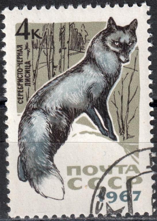 СССР 1967 Пушные звери. Марка (Сол. 3535) Гаш