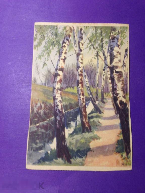 пк44м Березы дорожка Реклама Eduscho Kaffee Bremen   ххх 