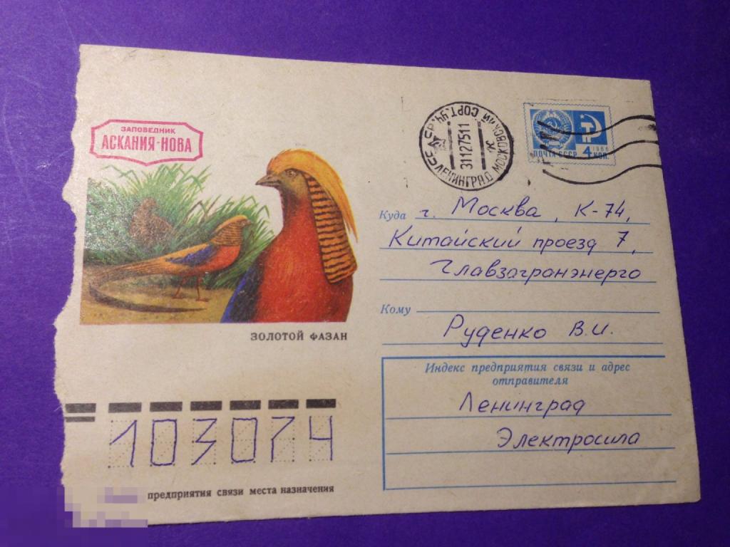 кнв49г 1975 Конверт  Золотой фазан Аскания-Нова заповедник  Пикунов  почта  ххх 