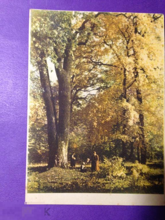 ко810м  1956  Золотая осень  фото Козловского  Украина   чистая  ххх 