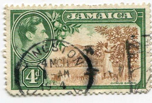 1938 ямайка цитрусовая плантация.гаш