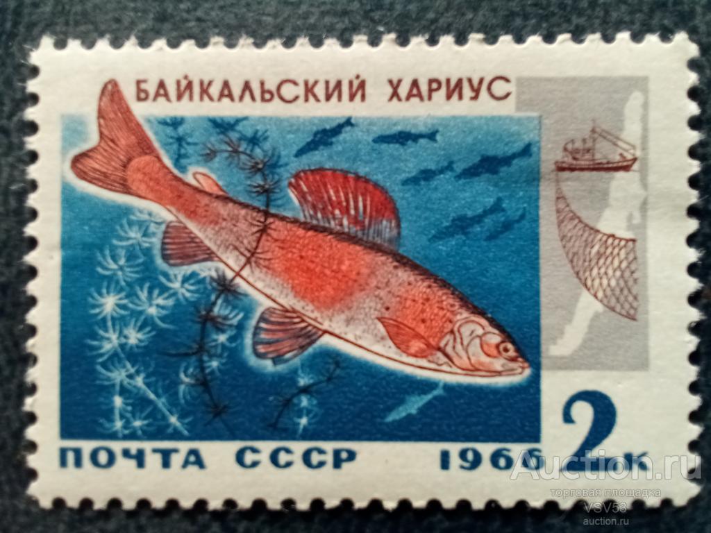 СССР 1966 г. Байкальский хариус. Сол. № 3399.**