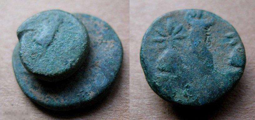 Редкость -  слипшиеся в земле нечищенные античные монеты (А) Боспорское царство Боспор 