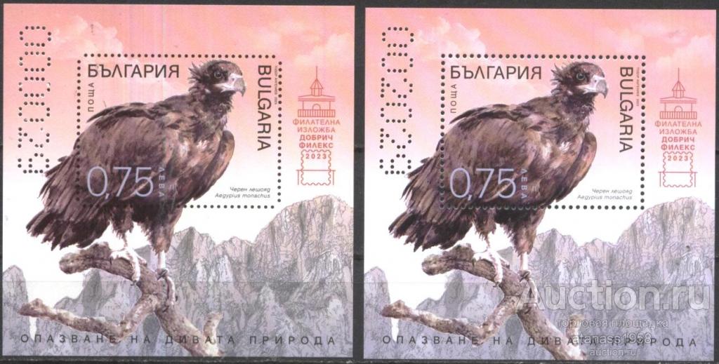 Болгария Чистые блоки Фауна Птицы Черный гриф 2023