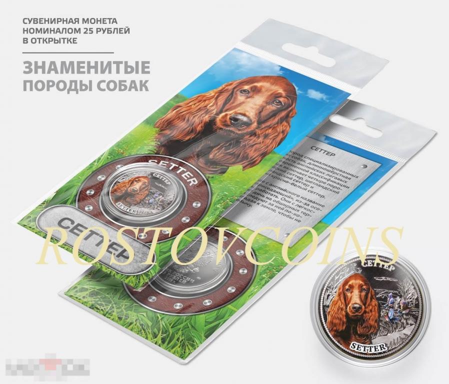 СЕТТЕР из серии ЗНАМЕНИТЫЕ ПОРОДЫ СОБАК (в подарочной открытке) 