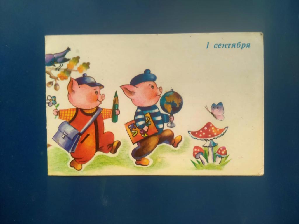 Открытка 1 сентября   пакет 5