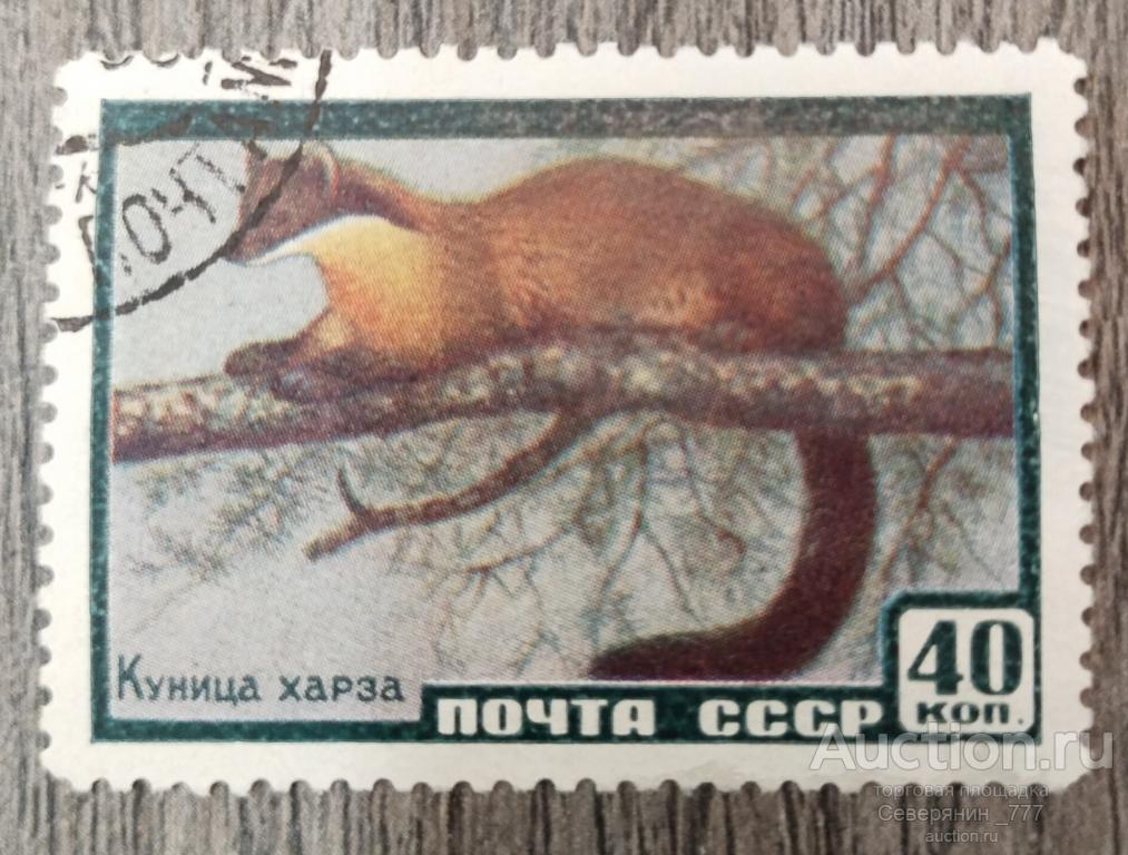 Марка СССР 1959 Фауна Куница