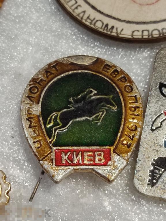 Значок чемпионат Европы Киев л4 