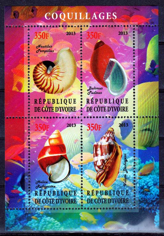 Марки Кот Д'Ивуар 2013 г. Моллюски Блок MNH ** Фауна Раковины и ракушки