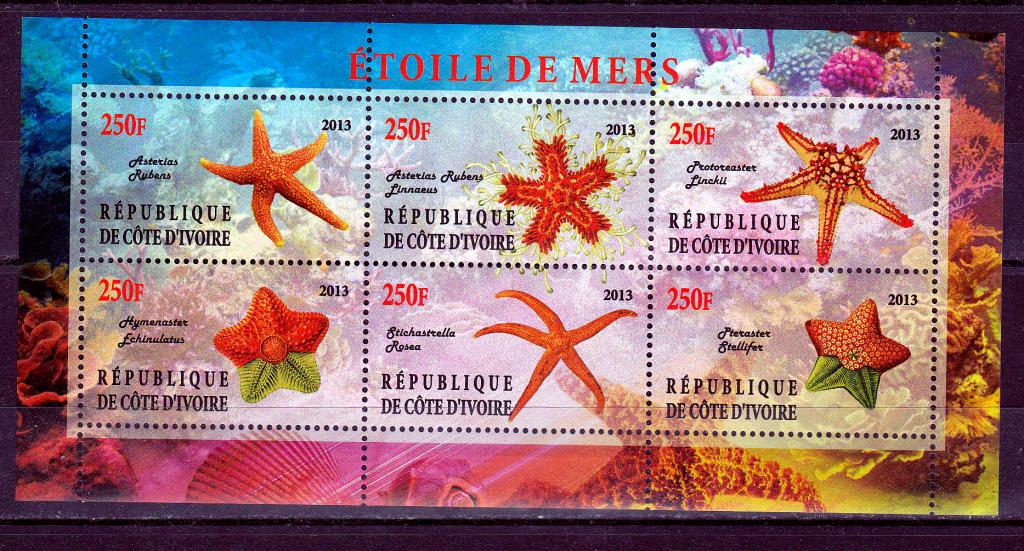 Марки Кот Д'Ивуар 2013 г. Морские звезды Блок MNH ** Фауна Моллюски
